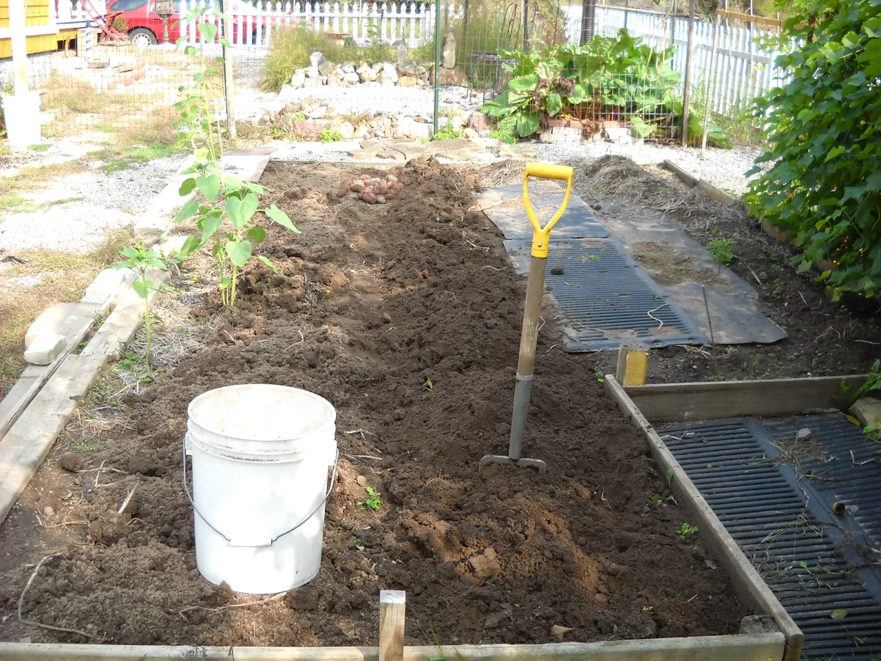 DSCN3774.JPG