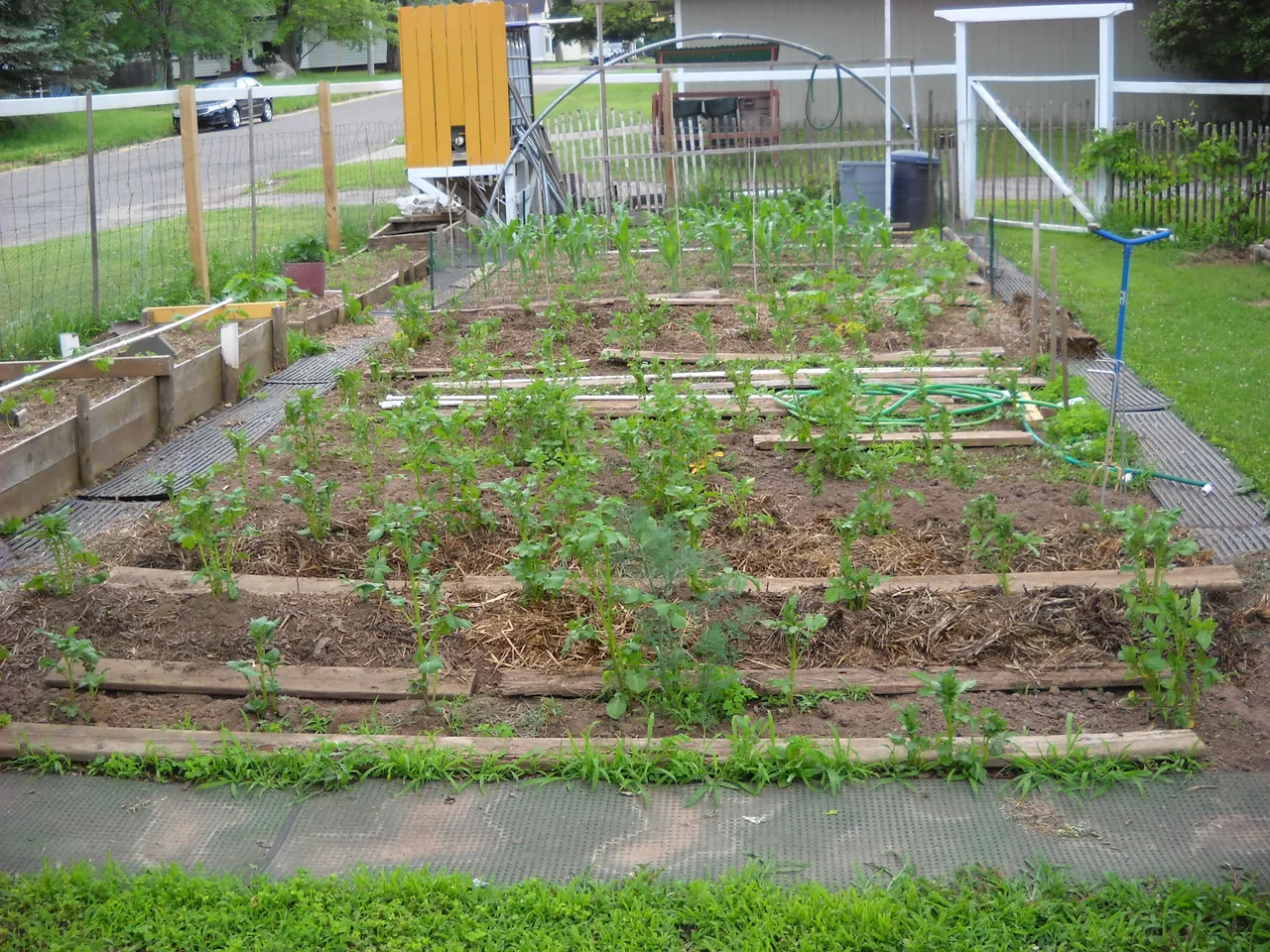 DSCN3253.JPG
