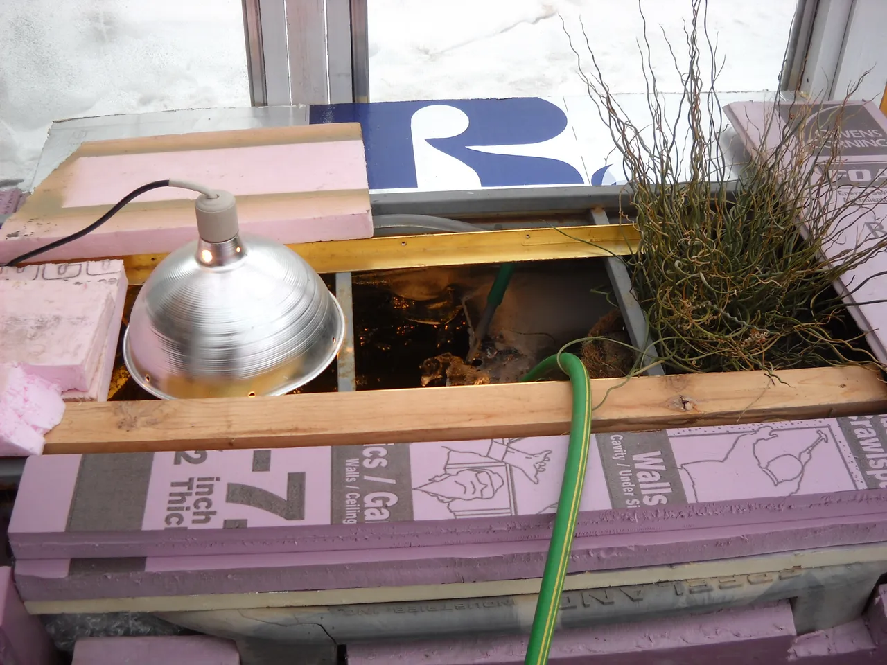 DSCN4237.JPG