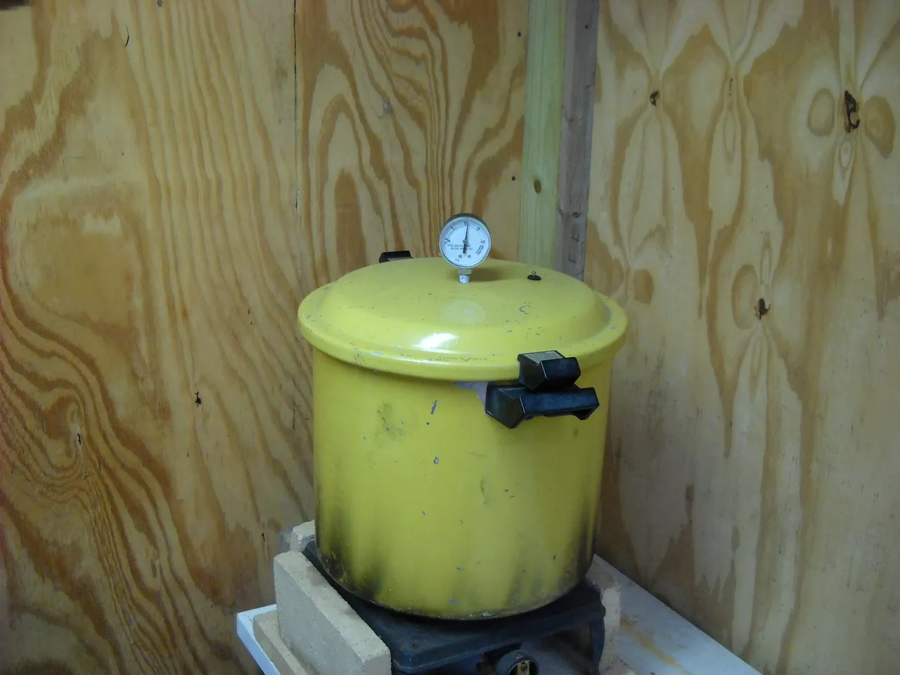 DSCN3560.JPG