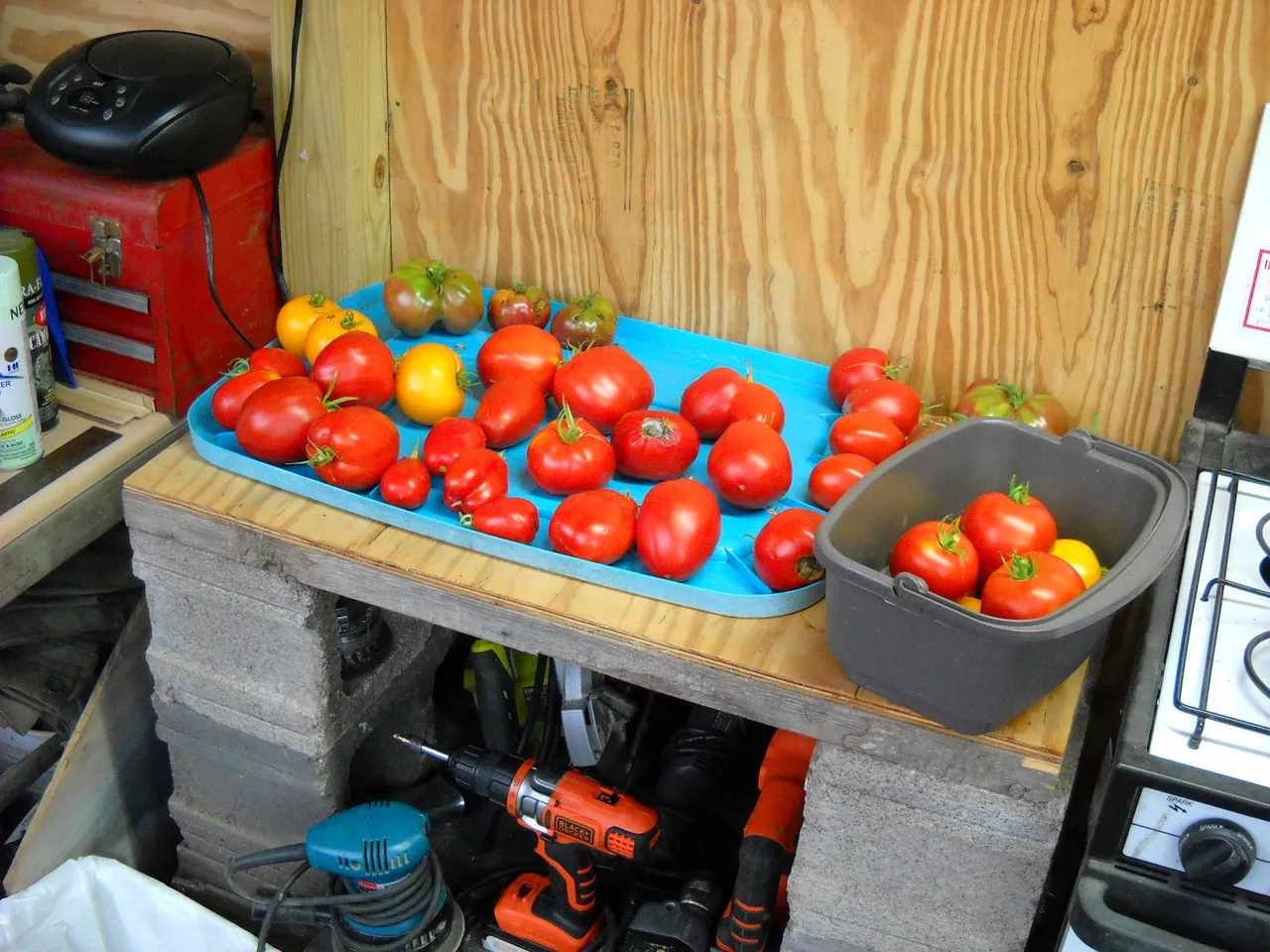 DSCN3670.JPG