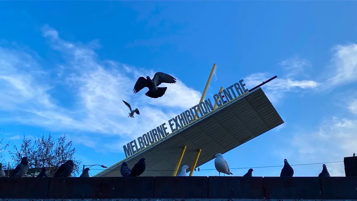 mcec.jpg