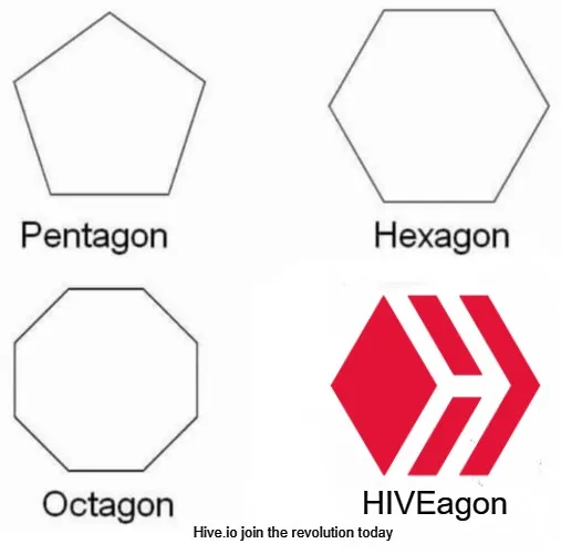 Wednesday_HIVE.jpg