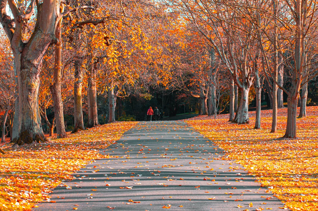 Autumn4878.jpg