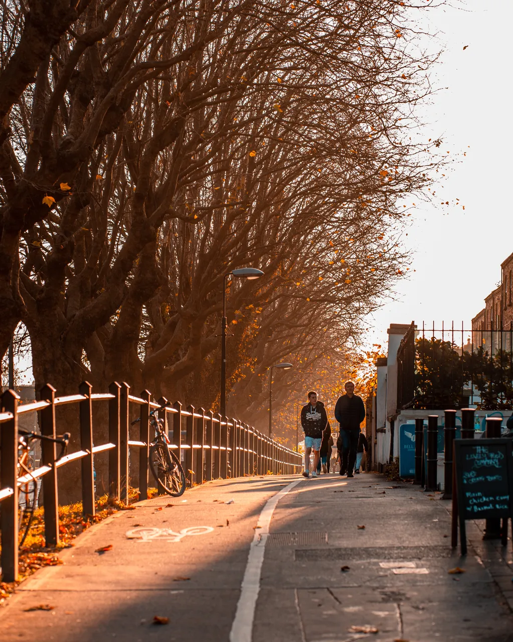 Autumn4940.jpg