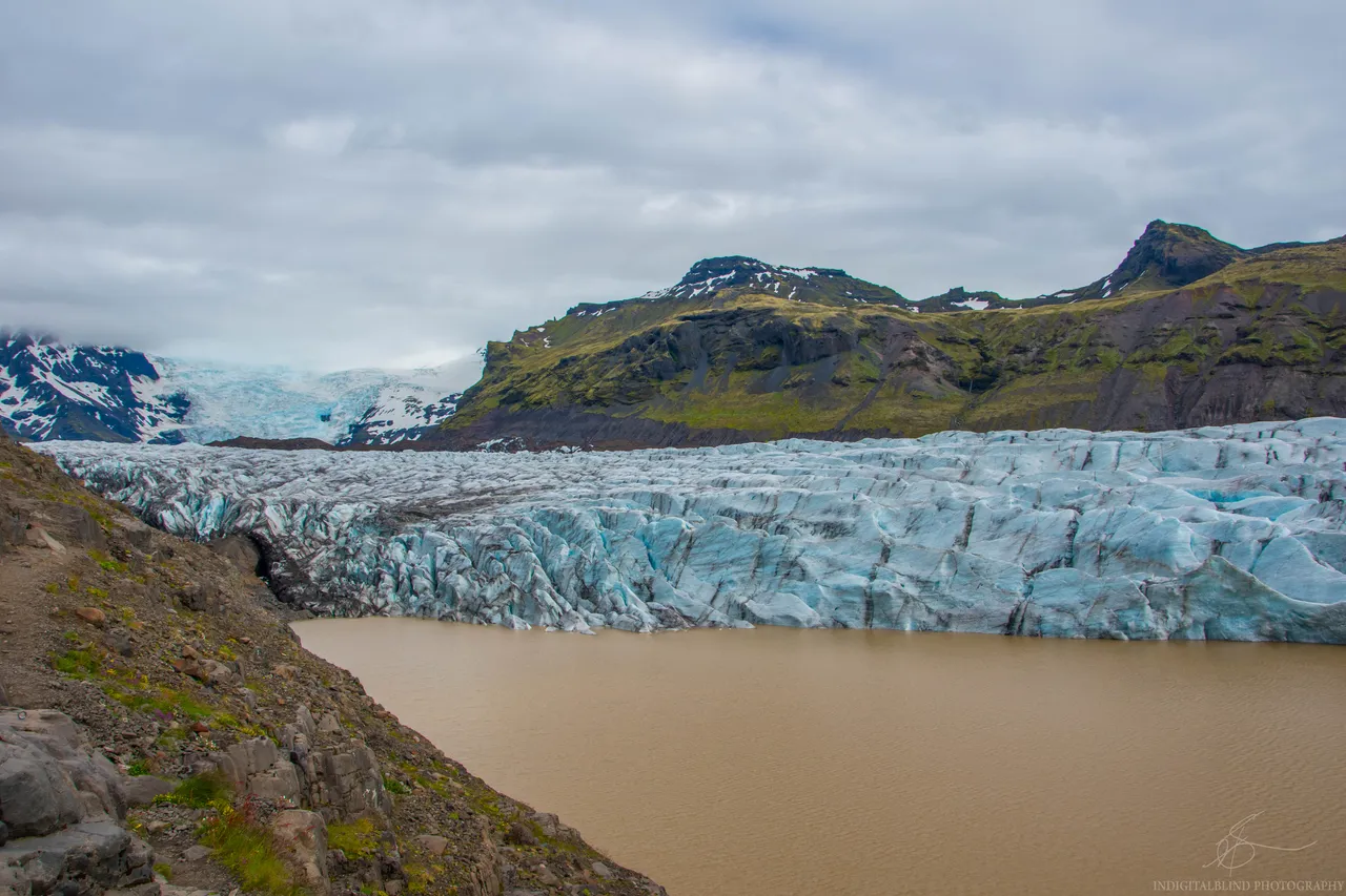 DSC_0296.jpg
