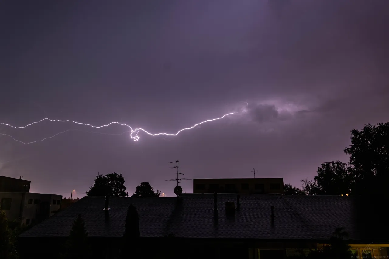 DSC_0557.jpg