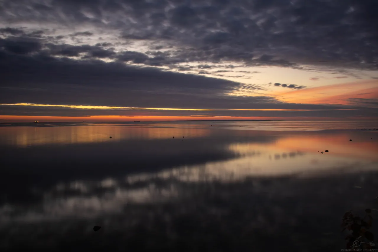 DSC_0370.jpg