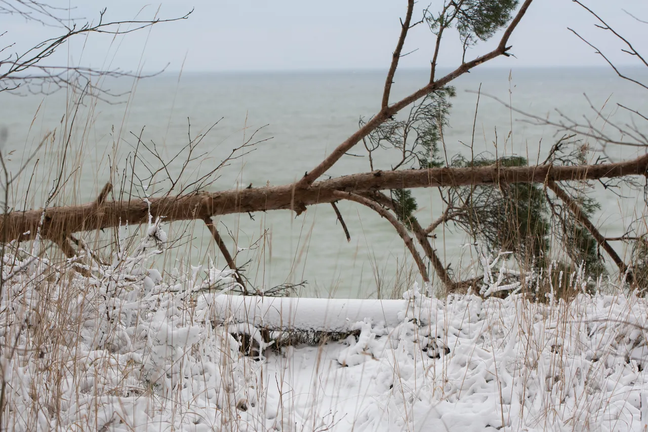 DSC_0039.jpg