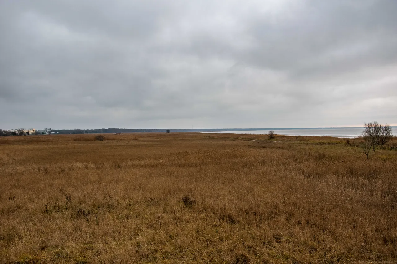 DSC_0059.jpg