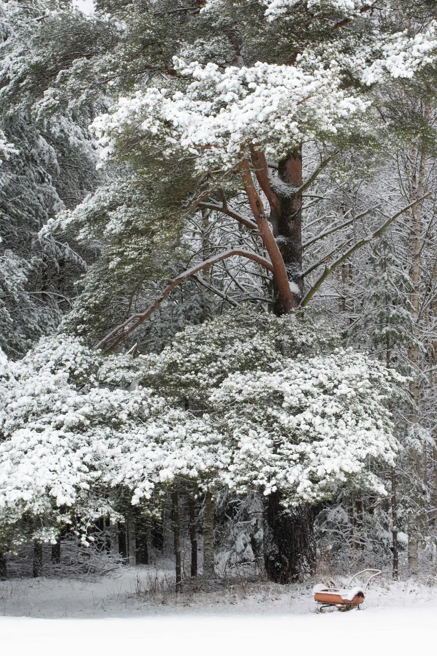 DSC_0035.jpg