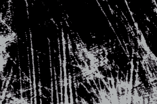 Scratches,gif.gif