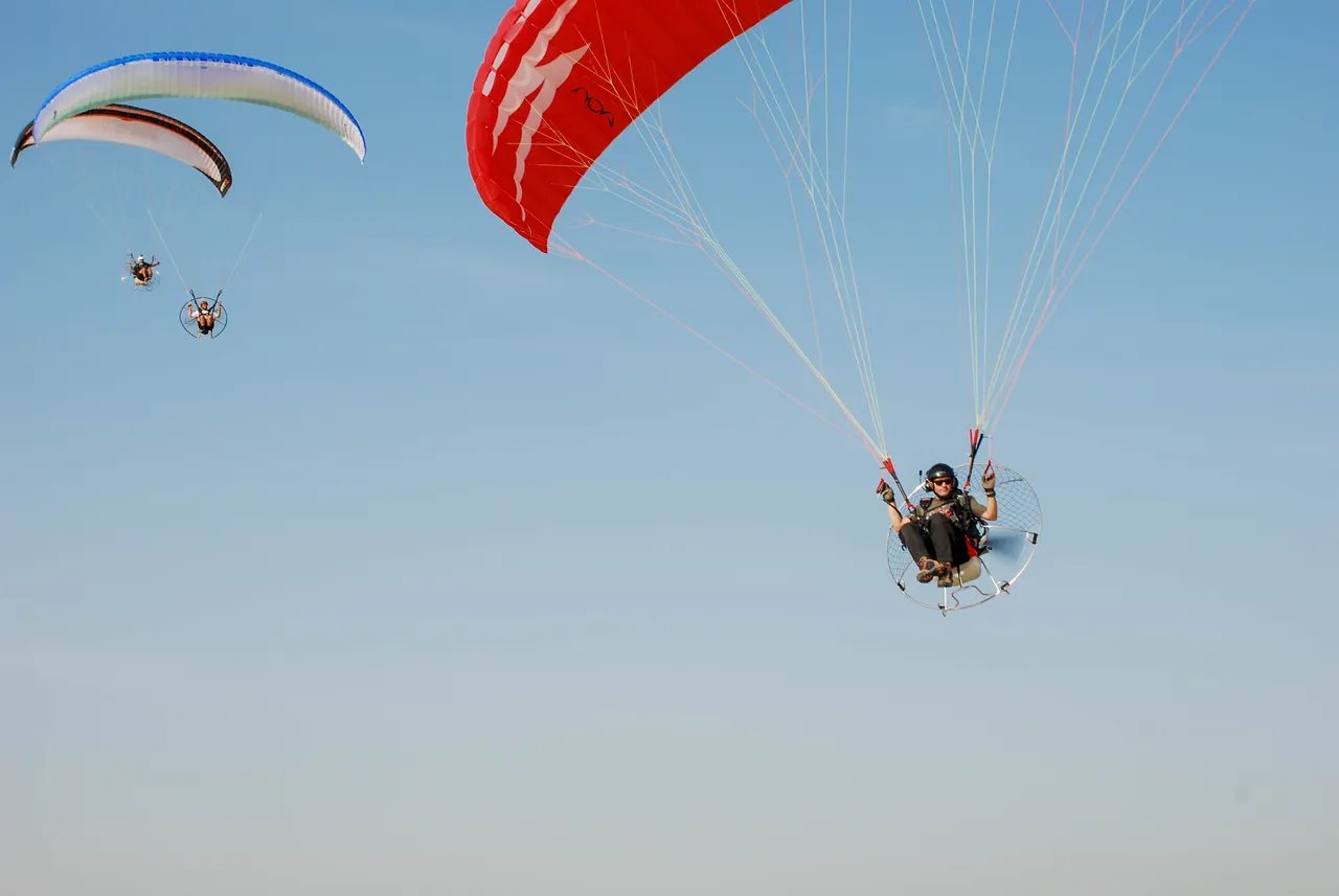 Flying with Friends