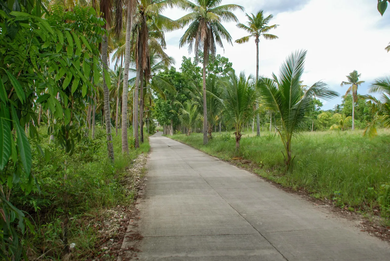 Road to the Airstrip