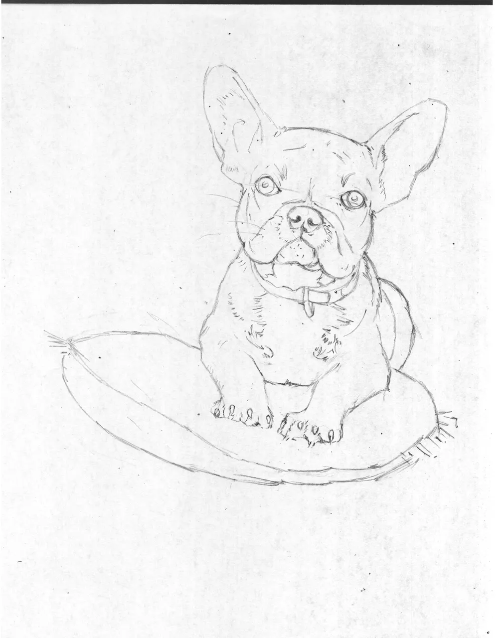 bulldog1.jpg