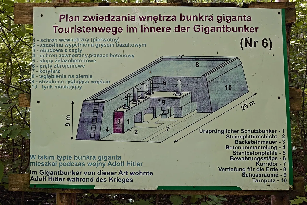 20200714_062.jpg