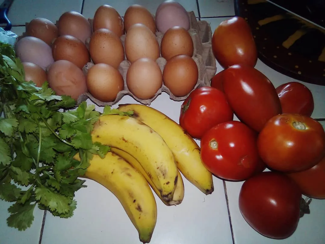 alimentos.jpg