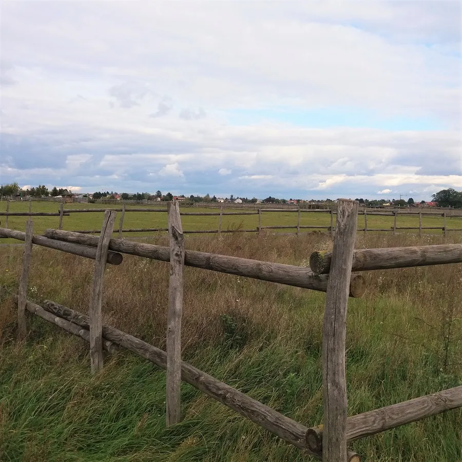 20201018_143839.jpg