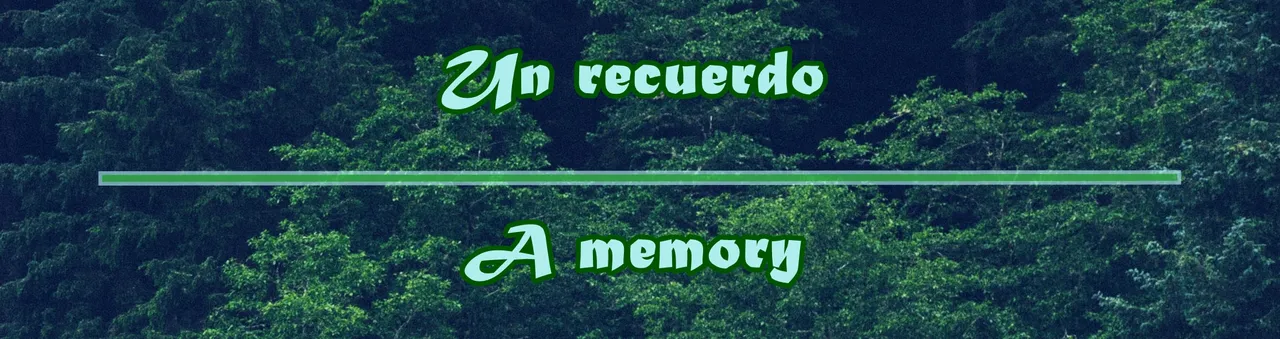 banner.jpg