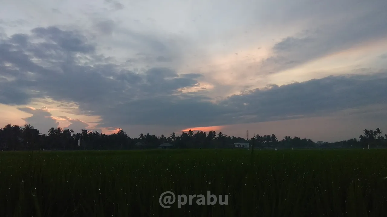 © prabu 2.jpg