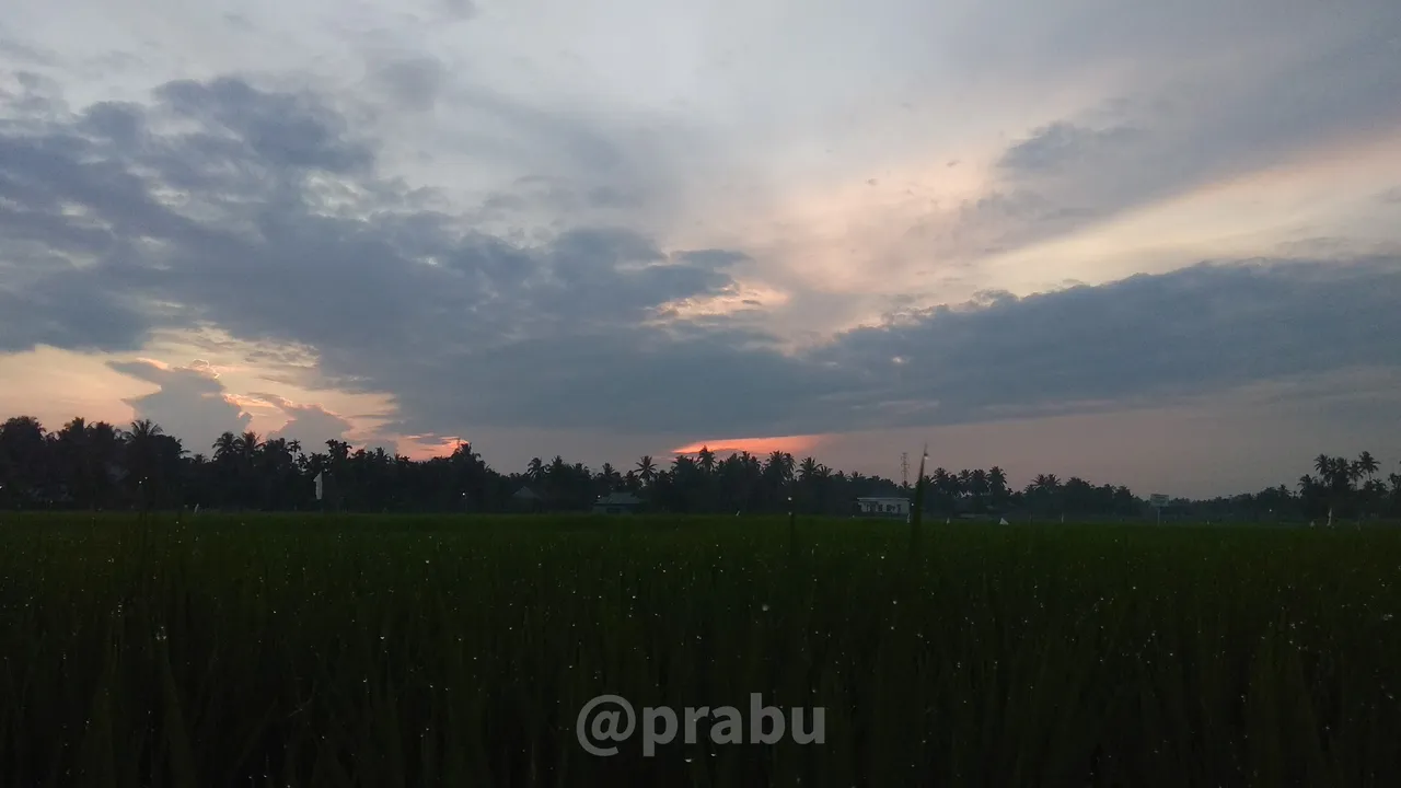 © prabu 4.jpg