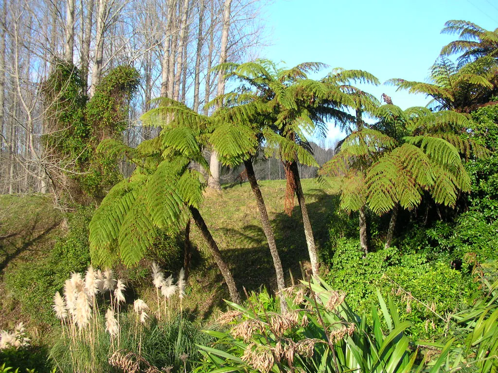 DSCN7205.JPG