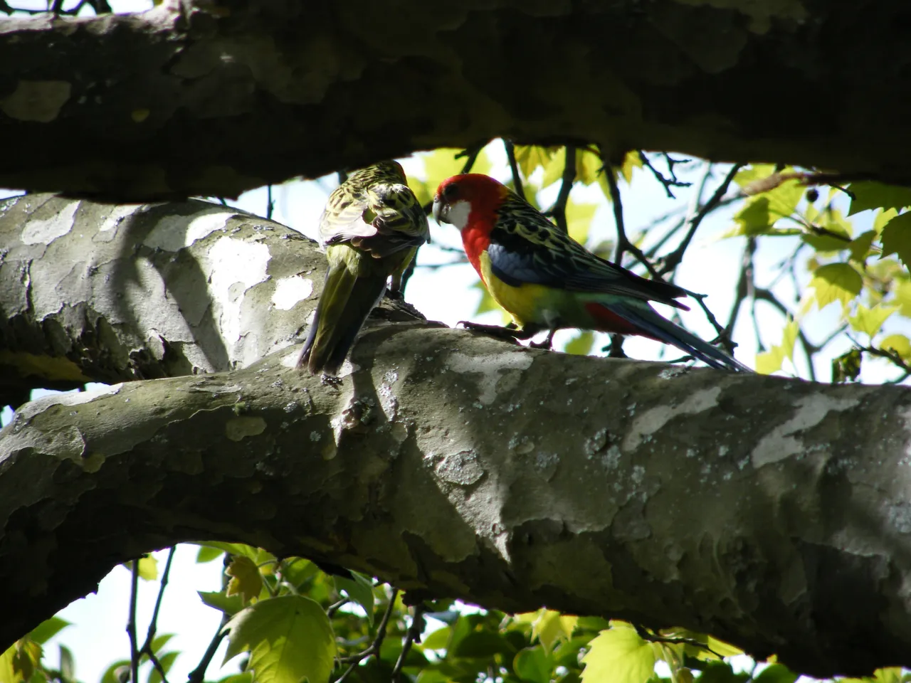 DSCF2862.JPG