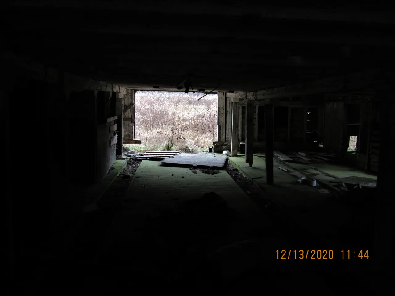 IMG_5416.JPG