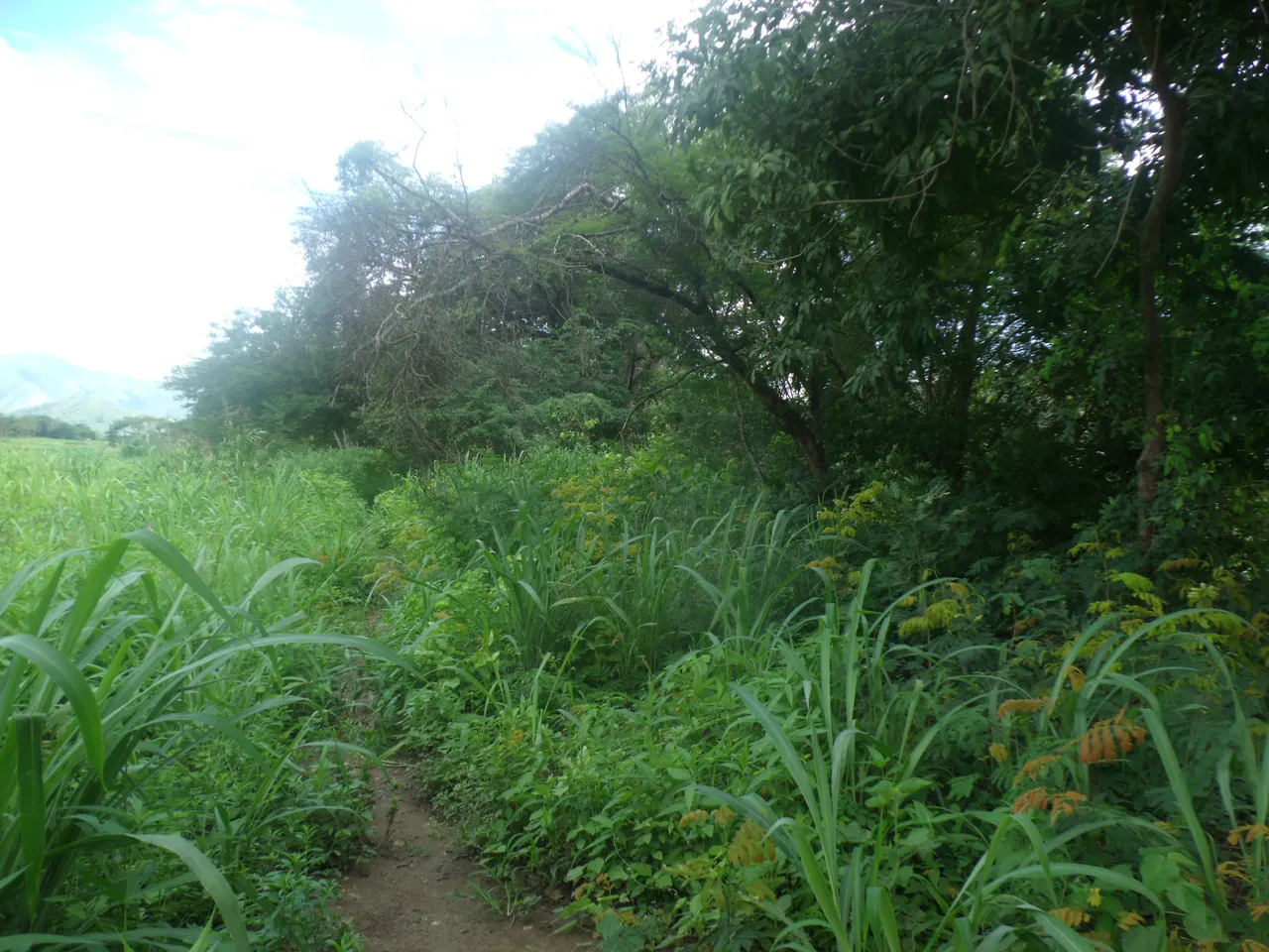 GEDC0026.JPG
