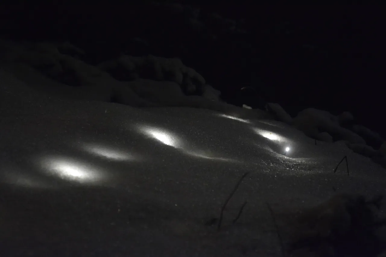 DSC_7094.JPG