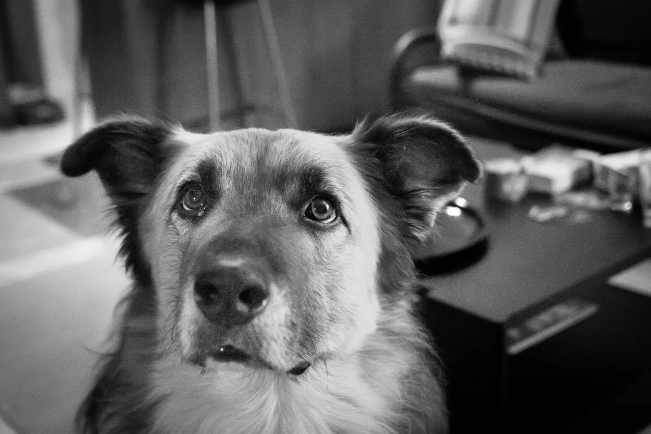 _MG_0934.jpg