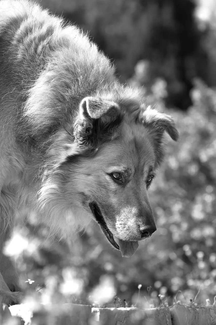 _MG_1418.jpg