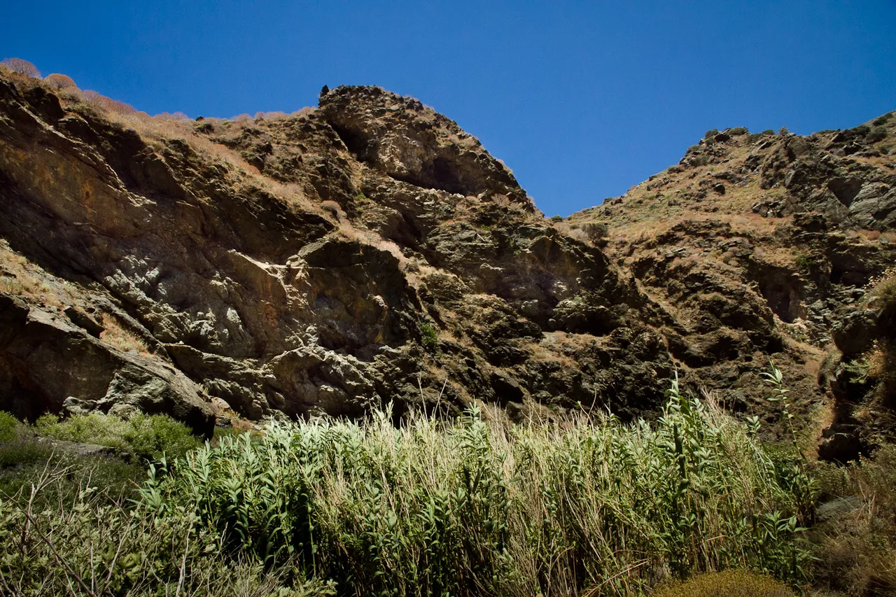 _MG_4941.jpg