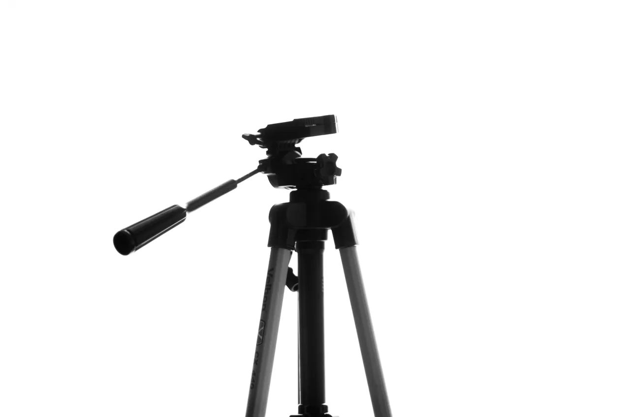 IMGP8507.JPG