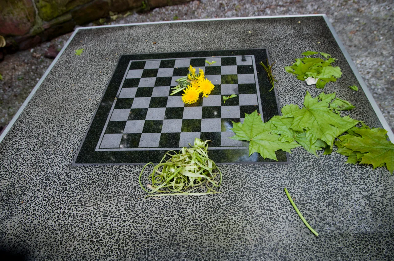 IMGP5641.JPG