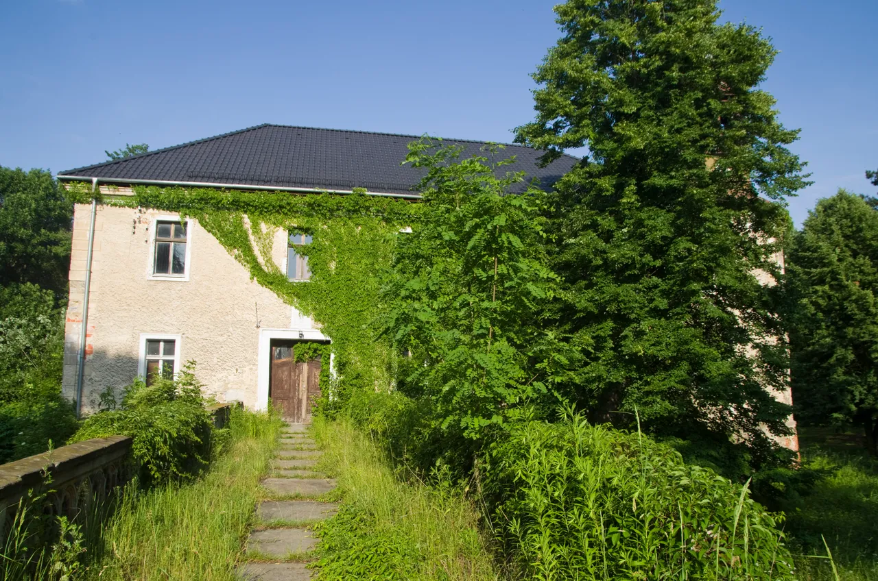 IMGP6429.JPG
