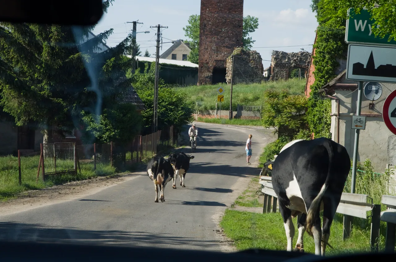 IMGP5995.JPG