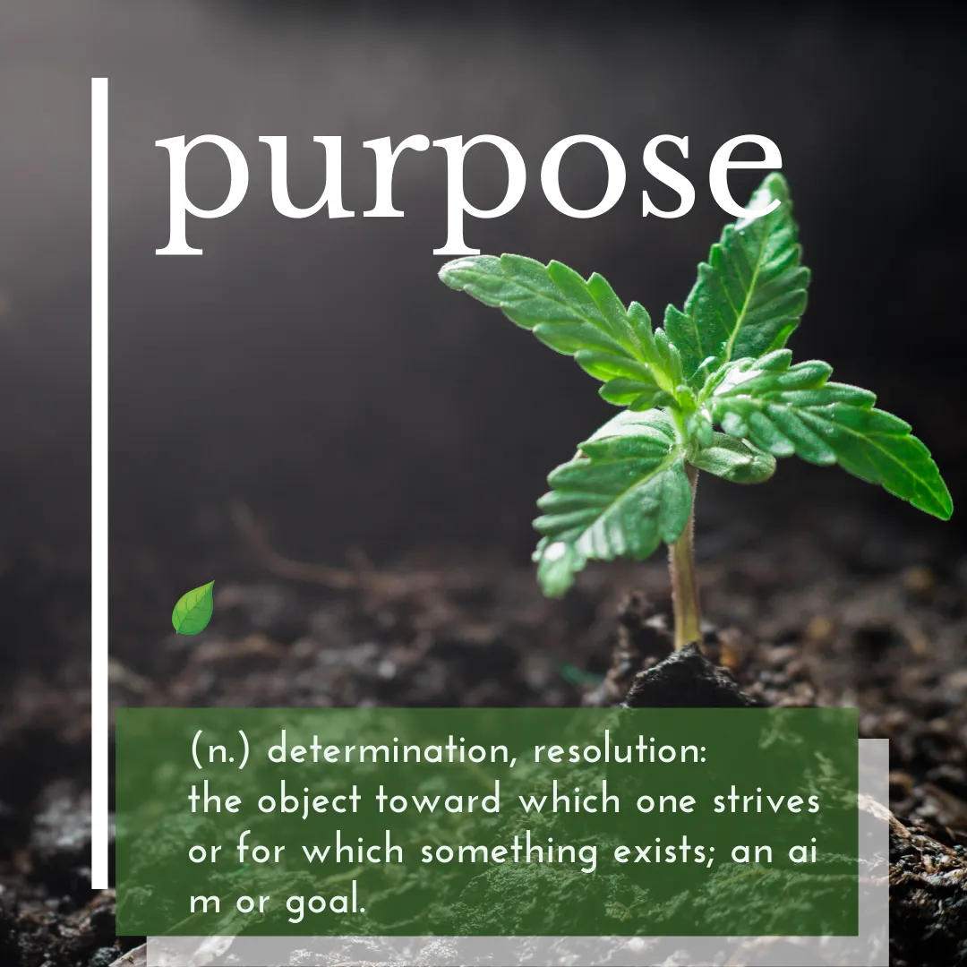 Purpose.png