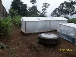 Nursery.jpg