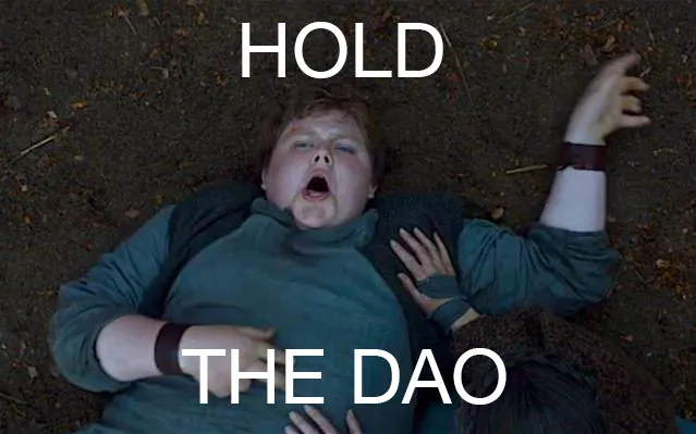HOLDAO