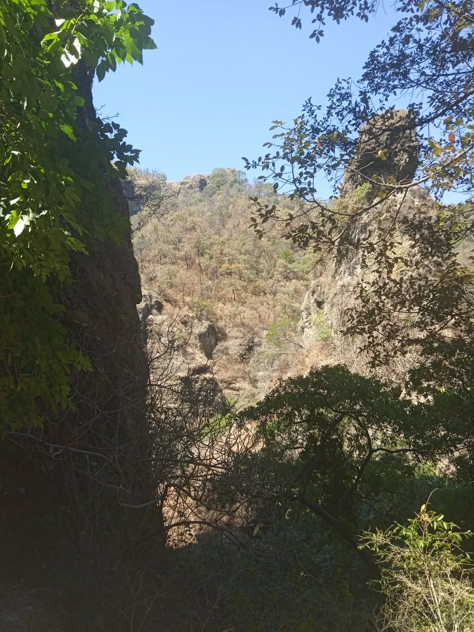 Vista del bosque y las colinas desde el camino al templo El Tepozteco