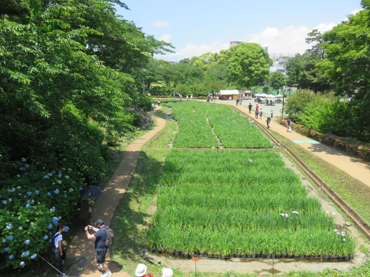 The festival