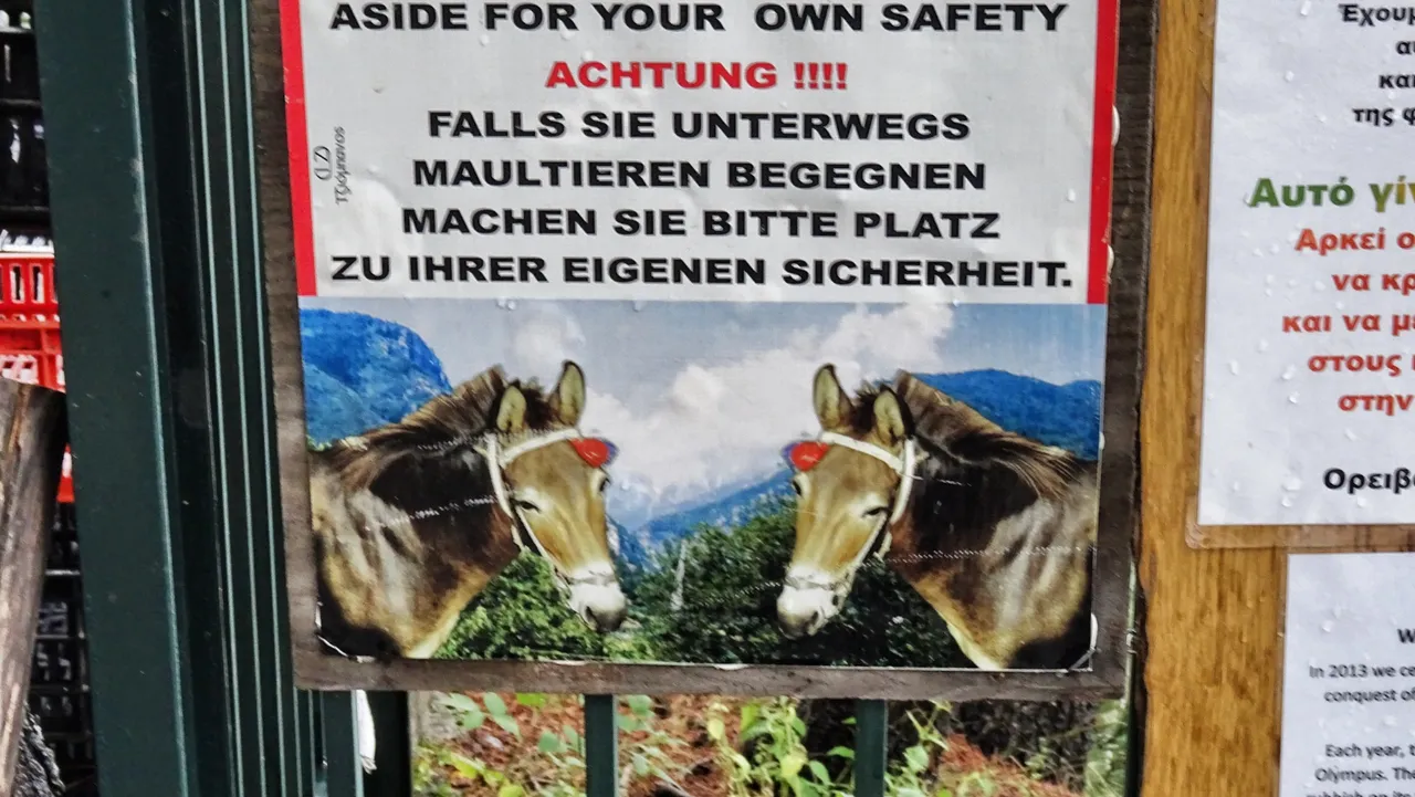 Beware of the mule