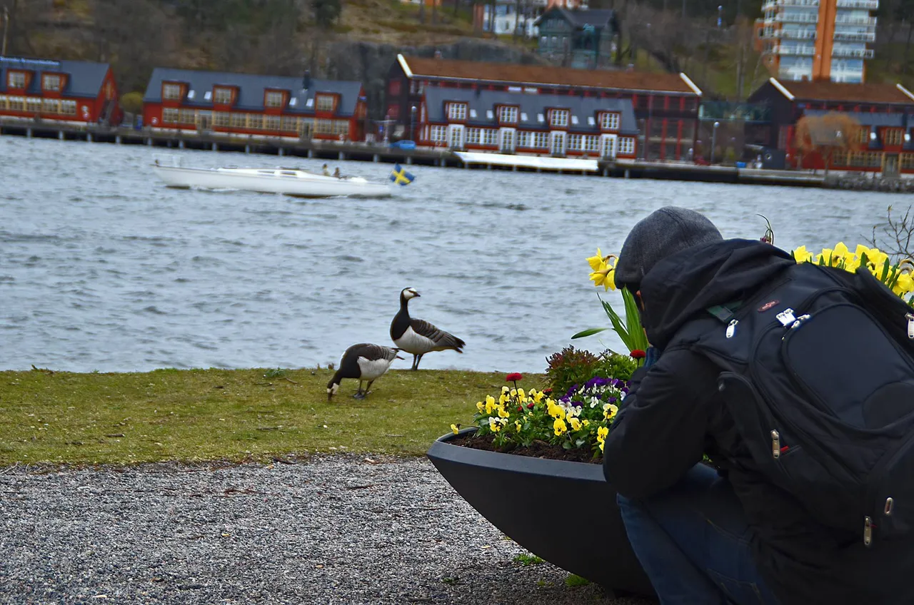 Blockhusudden, Djurgården