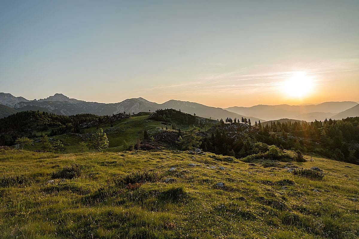 When you see a grassland like this and cows grazing on it, you know something good will come out.
