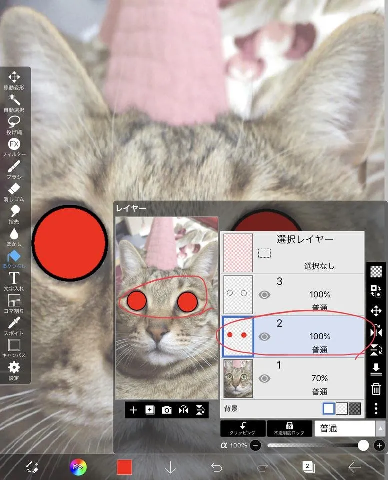 DDF1936A-FD63-4264-BA1C-6B2C47F5F923.jpeg