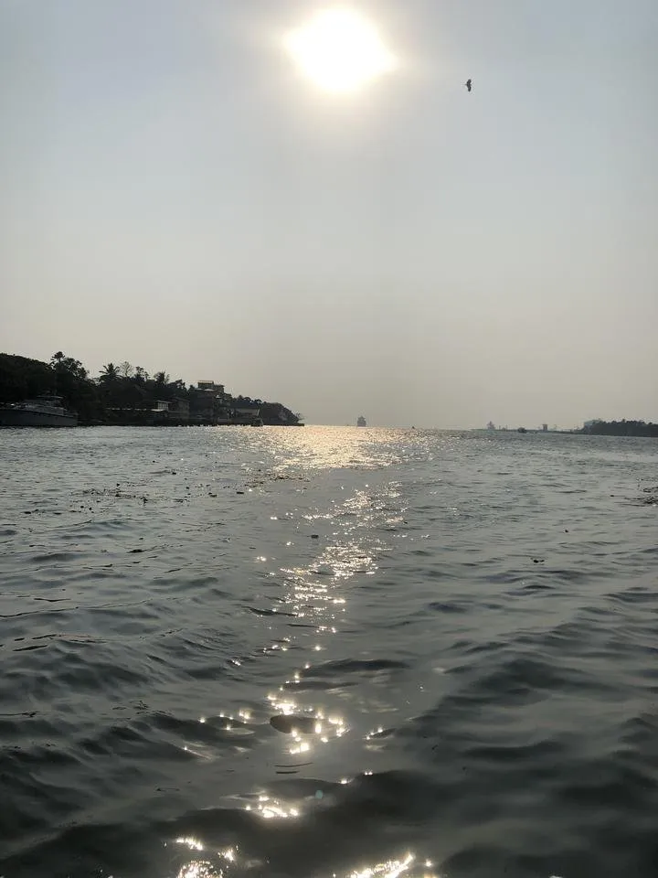 IMG_4320.JPG