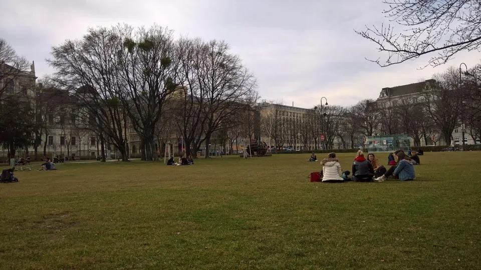 WP_20190304_12_33_47_Pro.jpg