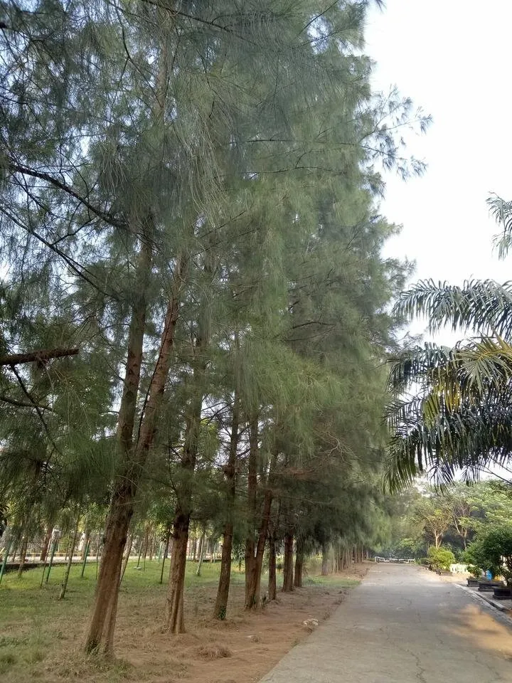 IMG20180603072452.jpg