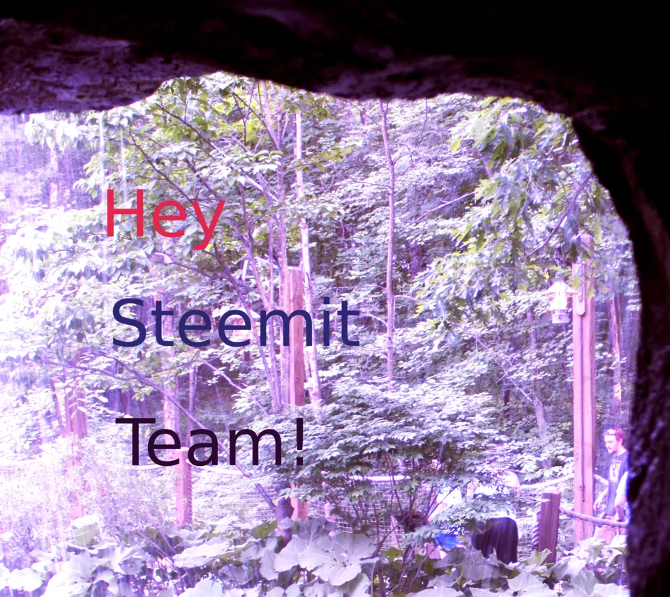 hey-steemit-team.png